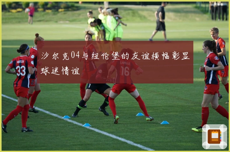 沙尔克04与纽伦堡的友谊横幅彰显球迷情谊