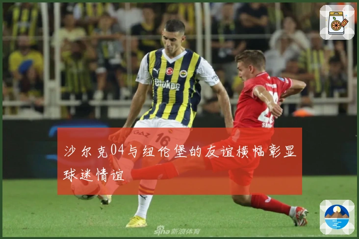 沙尔克04与纽伦堡的友谊横幅彰显球迷情谊